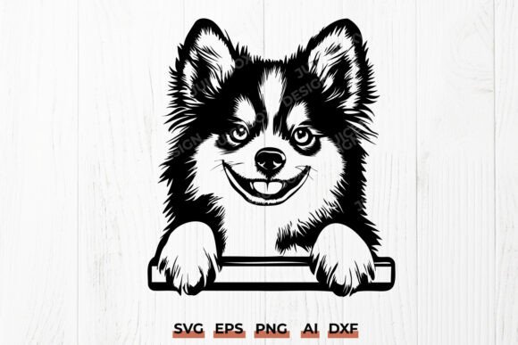 Peeking Pomsky SVG Cute Fluffy Dog DXF Review for Real Projects